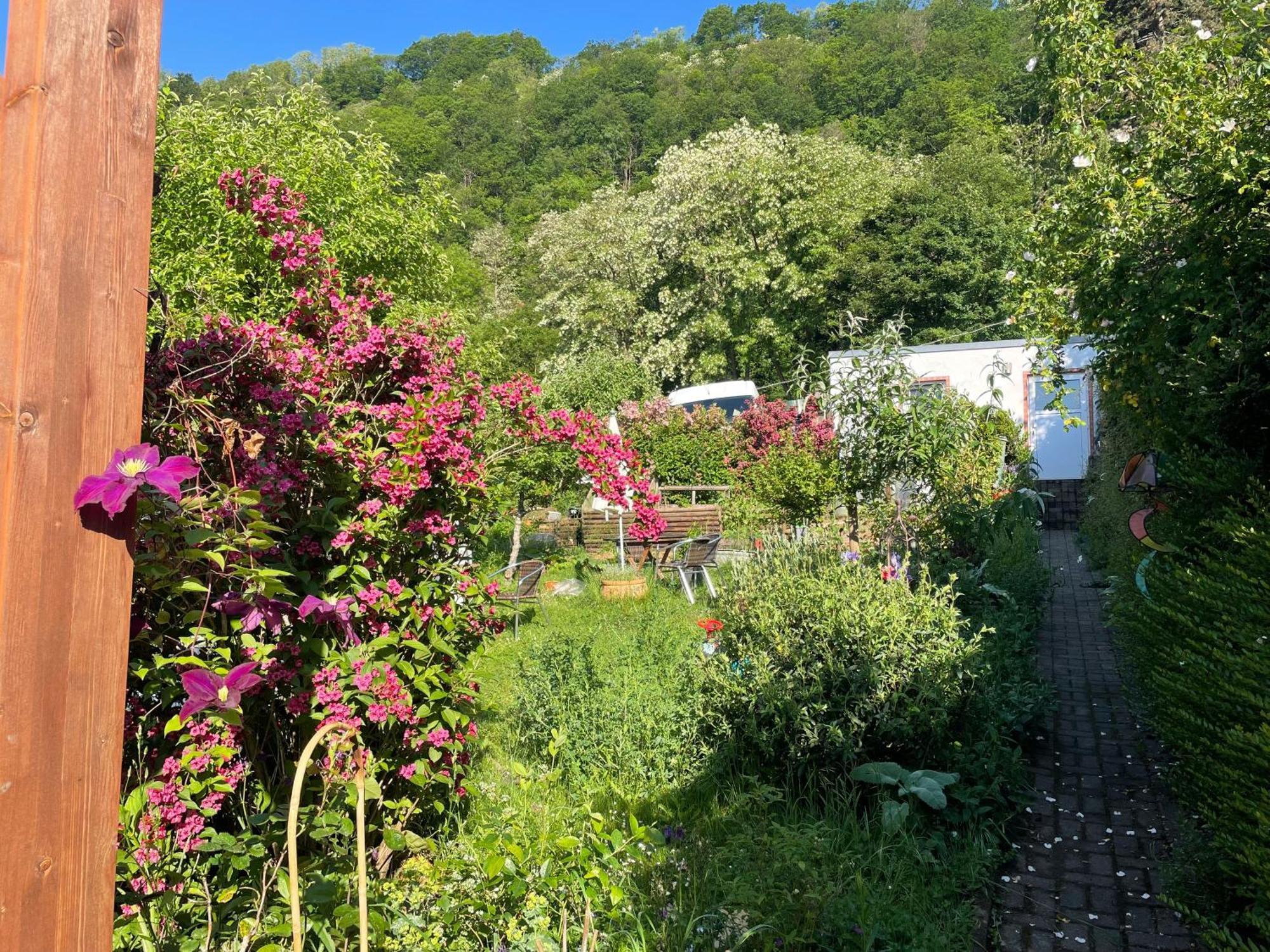 Blick Ins Gruene, Nah Am Zentrum Tréveris Exterior foto